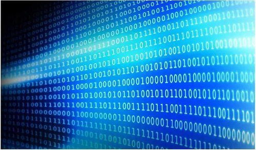 人民時評 充分激發數據要素價值 筑牢互聯網數據服務發展根基