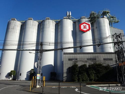 技術(shù)開(kāi)發(fā)日?qǐng)?bào) 前沿動(dòng)態(tài)與實(shí)踐挑戰(zhàn)